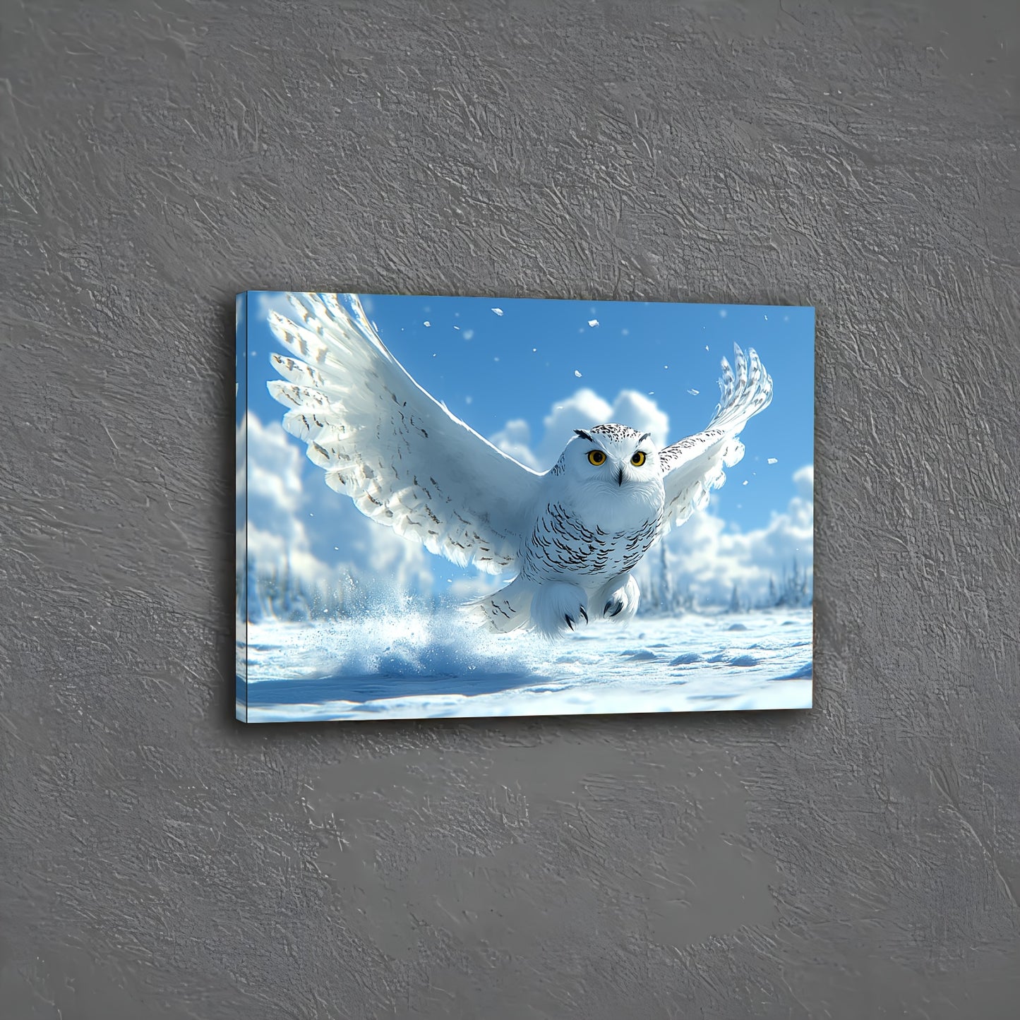 image4